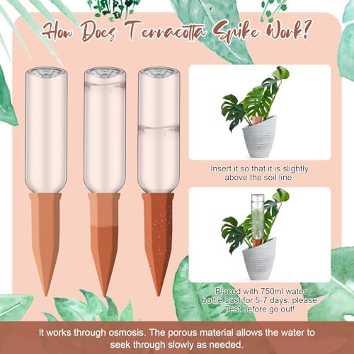 SiliFine 6 Sets Terracotta Watering Spikes,Green Clear Brown and Terracotta - Image 3