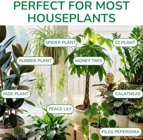 Organic Indoor Plant Soil, Well-Draining Potting Mix, Large 7.5L Bag - Image 6