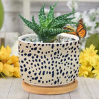 Black and Brown Animal Print Planters Ceramic Black Round Plant Pots with Drainage Holes and Bamboo Tray Pot for Succulents Cactus Garden Windowsill - Image 6