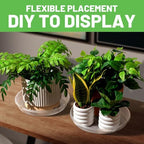 MUDEELA 6-Pack Plastic Plant Saucers Tray for Indoor, 14 Inches, Clear - Image 5
