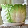 Large Cabbage Ceramic Flower Pot with Tray Indoor Green Plant Container Flower Pot, Herb Flower Pots, Jewelry Design Ceramic Flower Planter/Decorative Plant Container by Unknown
