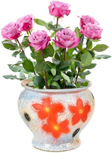 Sungmor 9 Inch Hand Painted Ceramic Succulent Plant Pots - White & Red by Sungmor
