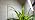 Aumtrly Plant Light Clip on, 2 Pack White, 228 LED Full Spectrum Grow Lamp - Image 7