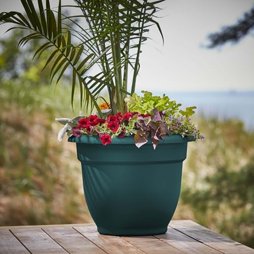 Bloem Ariana 20" Plastic Self-Watering Planter, Charleston Green, 2-Pack - Image 2