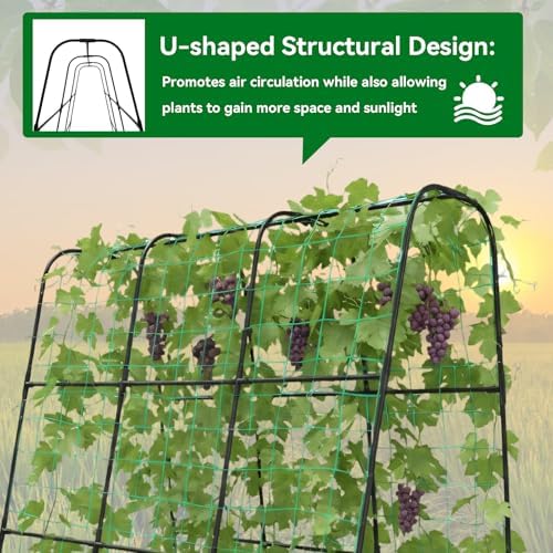 Cucumber Trellis for Raised Bed with Plastic Coated Steel Pipe-63"*50",Blk - Image 5
