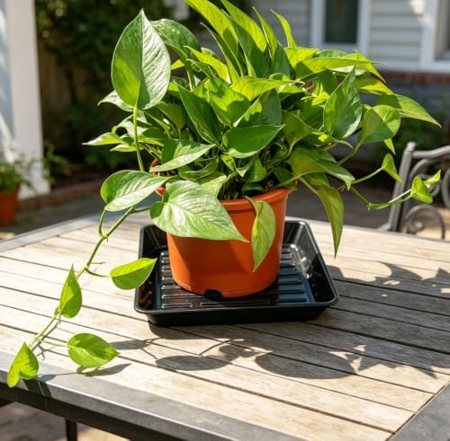 4 Pack 14" Square Plant Saucer No Holes, Sturdy Plastic Water Tray for Indoors Outdoor Garden, Black - Image 4