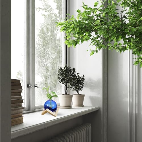 M METERXITY 2 Pack Glass Planter Terrarium with Wooden Stand, Desktop Plant Propagation Station Bulb Vase for Hydroponic Plants Propagation/Home Garden Decor/Plant Lover [Blue] - Image 6