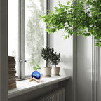 M METERXITY 2 Pack Glass Planter Terrarium with Wooden Stand, Desktop Plant Propagation Station Bulb Vase for Hydroponic Plants Propagation/Home Garden Decor/Plant Lover [Blue] - Image 6