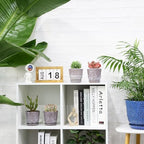 Gepege Ceramic Succulent Pots, 4 Inch Small Plant Pots with Drainage - Image 4