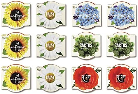 Buzzy Seeds Daydream Grow Kit 12-Pack, Terracotta Pots, Assorted Flowers - Image 2