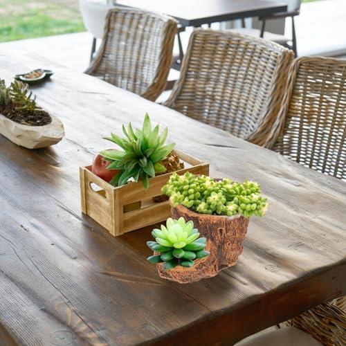 Happyyami Vintage Stump Planter Pot with Cement Finish for Cactus Display - Image 2
