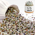 NUPICK 12 lbs Pebbles for Indoor Plants, 1/5 Inch Pea Gravel for Fish Tank by CreateAmazingChoice