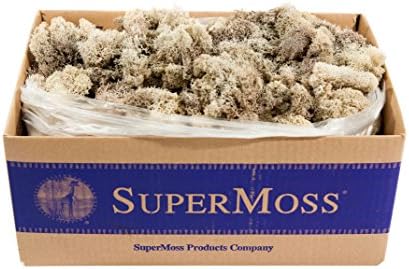 SuperMoss (21742 Reindeer Moss Preserved, Natural, 3lbs by SuperMoss