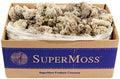 SuperMoss (21742 Reindeer Moss Preserved, Natural, 3lbs by SuperMoss