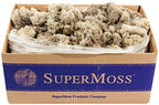 SuperMoss (21742 Reindeer Moss Preserved, Natural, 3lbs by SuperMoss