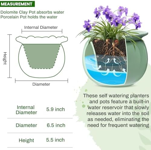 Suclain 2 Pcs African Violet Pots, 6.5 Inch Self Watering Pots for Indoor Flowers and Plants Ceramic Easy Self Watering Plant Pot with Highly Absorbent Inner Planter Pot for Tropical Plants(Green) - Image 2