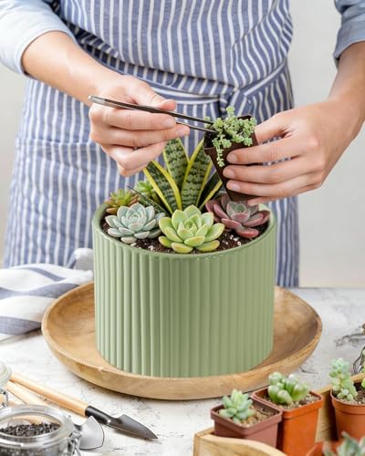 Ceramic Plant Pots, 8.1 + 6 Inch Planters for Indoor Plants, Modern Flower Pot for Plant with Drainage, Medium Cylinder Flower Pots for Indoor/Outdoor, House Plants, Matte Green - Image 7