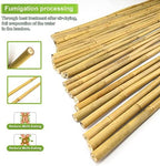 Jollybower 10pcs 1" D Thicker Heavy Duty Bamboo Stakes, 8FT Plant Stakes, Natural Garden Stakes for Tomato, Bean, Flowers,Trees Potted and Climbing Plant Support - Image 3