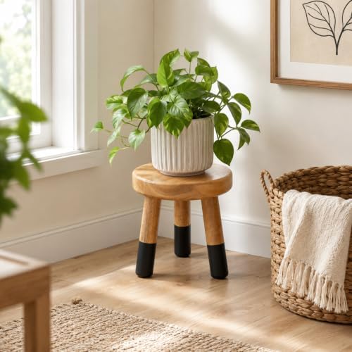 9" Rubber Wood Plant Stand for Indoor Plants, Modern Rustic - Image 4