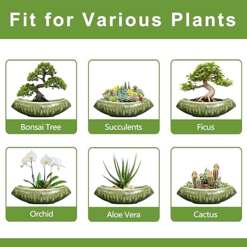 Bonsai Planter 18 Inch - Large Ceramic Succulent Pots with Drainage Hole, Bonsai Pots for Indoor Outdoor Plant, Ceramic Flower Pot, Decorative Plant Pot, Garden Decor, Housewarming Gift, Green - Image 7