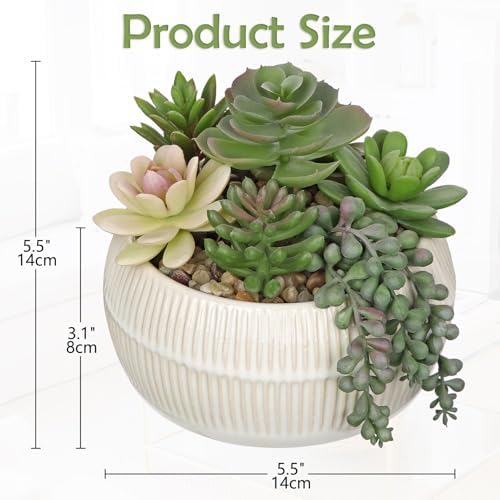 DILATATA Artificial Succulent Plants in Pot 5.5 Inch Fake Succulents Arrangement Potted Plant in White Ceramic Planter Bowl for Home Office Desk Shelf Living Room Bedroom Bathroom Decor - Image 2
