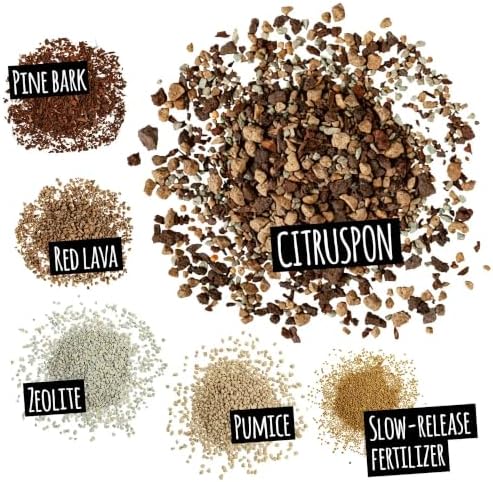 LECHUZA CITRUSPON Citrus Potting Soil, 2.7 US Dry gal - Image 2