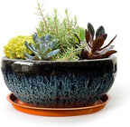 11 Inch Glazed Terracotta Plant Pot Round Ceramic Succulent Planter Pot with Drainage and Mesh Pad Cactus Clay Bonsai Pot (Blue) by SUMMERIMPRESSIONS