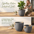 Large Tree Concrete Pot for Indoor, 13"&10" Modern Plant Pot for Home - Image 4