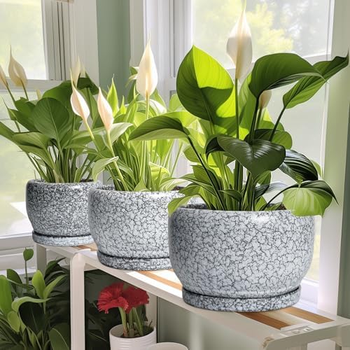 SQOWL 8 inch Plant Pot - Ceramic Planter with Drainage Hole and Saucer, Round Flower Pot for Indoor Plants, Decorative Planter Outdoor, Patio Balcony Decor, House Warming Gifts, Black and White - Image 6