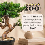Artificial Bonsai Tree 16" Tall with Realistic Wood and Ceramic Pot, Fake Plants for Home, Bedroom and Office Desk, Japanese Decor - Image 3