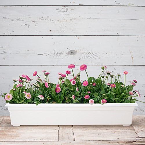 Novelty 16362 Countryside Flower Box Planter, 36-Inch, White. (Pack of 2) - Image 3