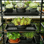 4 Pack Plastic Plant Tray Saucer Rectangular 17 18 Inch, Planter Trays Saucers for Indoor Outdoor, Plant Water Drip Trays, Windowsill, 7.7 x 17.5 Inches, Black - Image 3