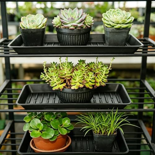 4 Pack Plastic Plant Tray Saucer Rectangular 17 18 Inch, Planter Trays Saucers for Indoor Outdoor, Plant Water Drip Trays, Windowsill, 7.7 x 17.5 Inches, Black - Image 3