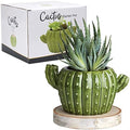Streamline Imagined Ceramic Cactus Flower Planter Pot by StreamlineImagined