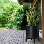 D'vine Dev Plastic Pot with Ebony Wood Stand, Black, 16 in, 55-C-Z-2 - Image 4