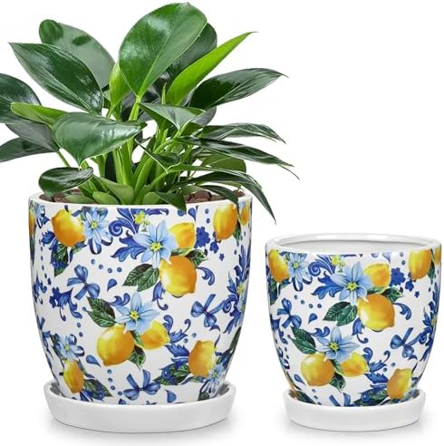 5.3+4.3 inch Ceramic Plant Pots, Set of 2 Blue and White Plant Pot with Drainage Holes and Saucers Small Lemon Indoor Planters Decorative Flower Pots for Succulents, Cacti, Snake Plants, and Herbs by Oairse