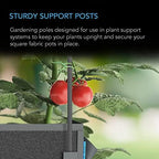 AC Infinity Garden Plant Stakes, Heavy-Duty Steel 60" - Image 2