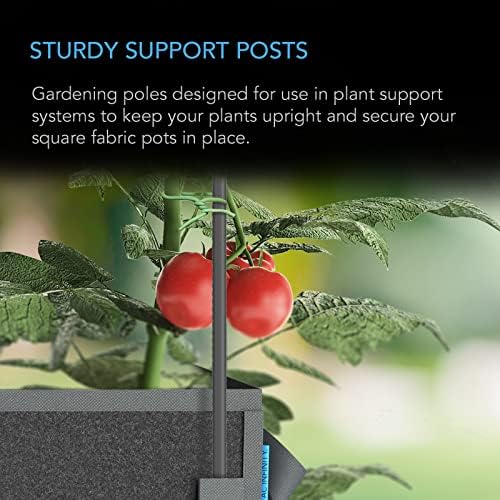 AC Infinity Garden Plant Stakes, Heavy-Duty Steel 60" - Image 2