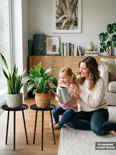 Plant Stand Indoor 2 Pack: Corner Wood 20 Inch Plant Stand - Plant Table - Image 4
