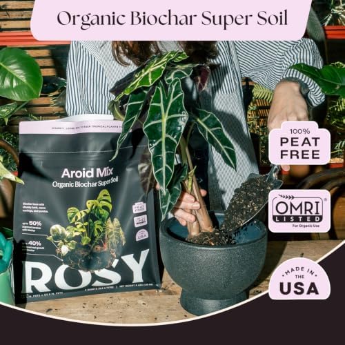 Rosy Soil Aroid Soil Mix, Chunky Biochar Potting Mix, 4 Quarts, Pack of 2 - Image 2