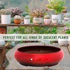 ARTKETTY Succulent Pots - 11.5 Inch Ceramic Bonsai Pots with Drainage - Image 7