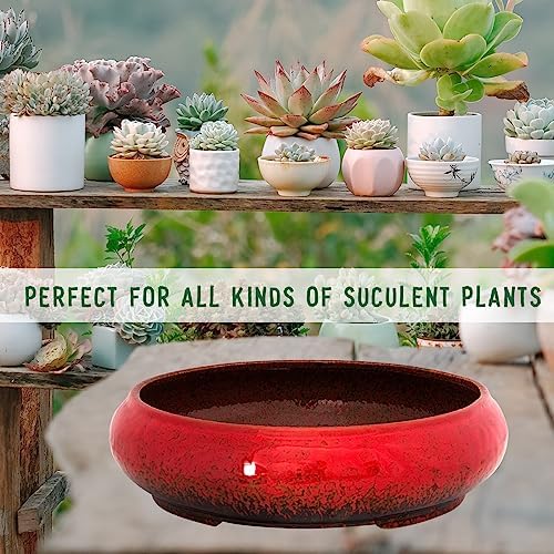 ARTKETTY Succulent Pots - 11.5 Inch Ceramic Bonsai Pots with Drainage - Image 7