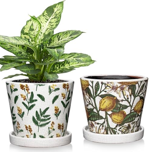 5.5 Inch Decorative Plant Pots, Round Ceramic Planters for Indoor Plants Pots with Drainage Hole Saucers, Lemon Green Leaves Ceramic Flower Pots Retro Planter Pot for Succulents Cactus Outdoor Garden by GnFlus