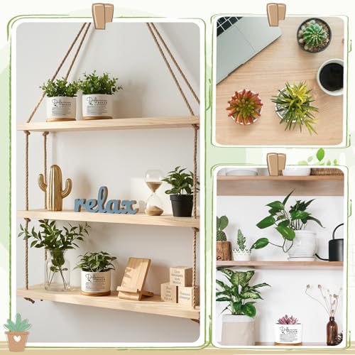 12 Pcs Difference Maker Gifts Succulent Pots Bulk for Employee - Image 6