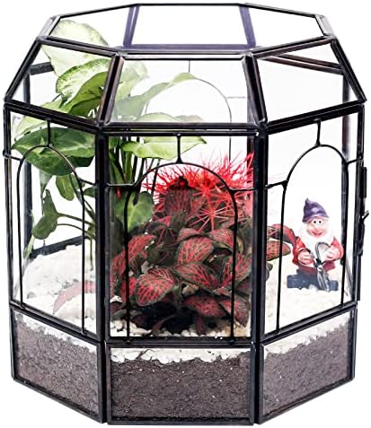 REDHUGO Large Glass Terrarium, Handmade Indoor Planter Display Box, Black by REDHUGO