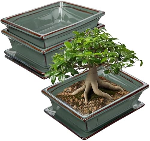 Villa Como Set of 2 Bonsai Pots with Drainage Tray, 7.5" Green Glazed by VillaComo