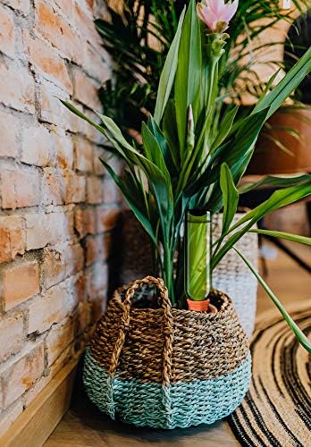 B SEPOR Ceramic Plant Waterer Terracotta Self Watering Spikes for Vacation or Holiday (10Pack) - Image 7