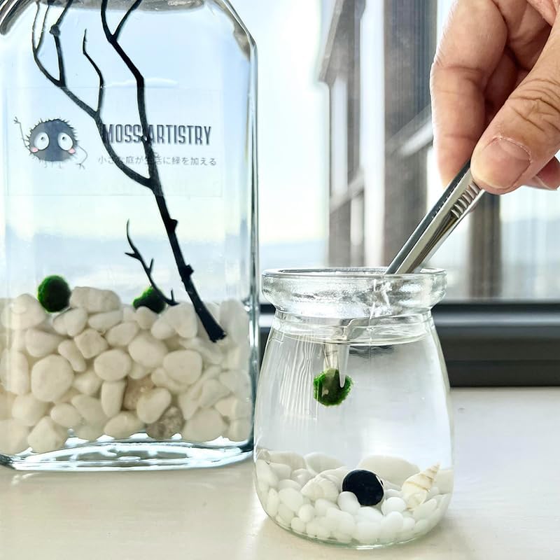 Moss Pet Glass Terrarium Jar Kit with Cork Lid, Mini Desktop Moss Plant Aquarium Decor, Home Ornament Gift - Image 7