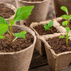 Ferry-Morse Seed Starting by Jiffy Seed Starting Mix - Compressed Expanding Potting Soil, Promix Potting Mix - 5 Pack 50QT - 100% Coco Coir - Image 6