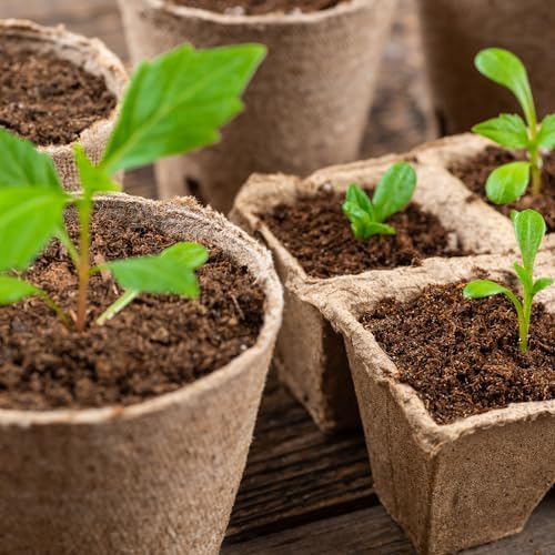 Ferry-Morse Seed Starting by Jiffy Seed Starting Mix - Compressed Expanding Potting Soil, Promix Potting Mix - 5 Pack 50QT - 100% Coco Coir - Image 6